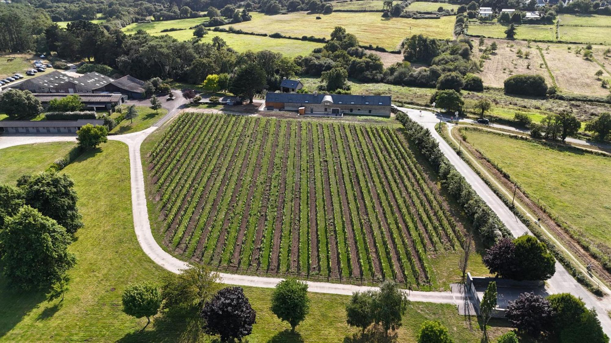 Gite -L'Appart- Au Vignoble Domaine Lamballe, Baden, Golfe Du Morbihan Extérieur photo